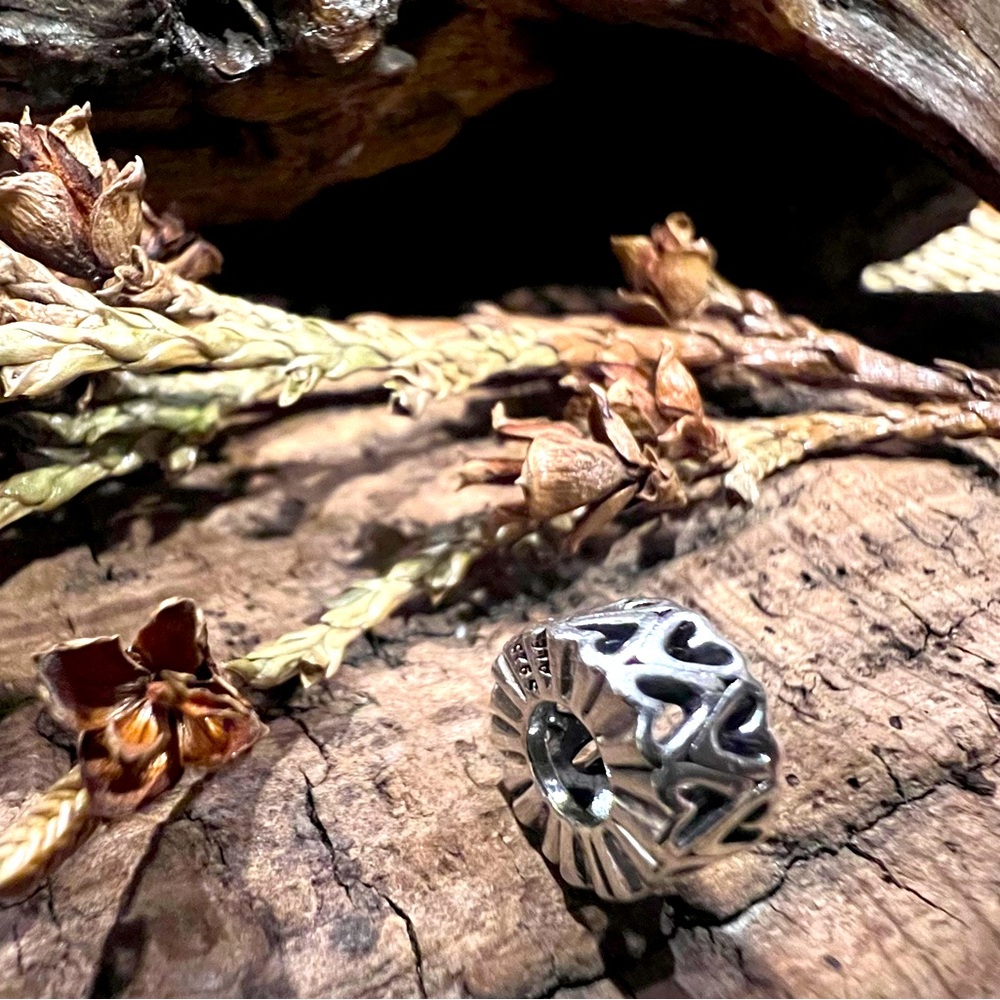 Authentic Pandora Charm Freehand Heart Spacer
Silver Openwork Spacer Cutouts